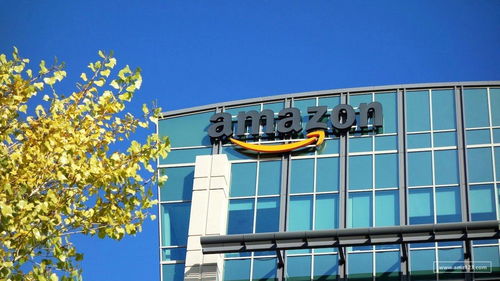 亚马逊全球开店运营的17条政策红线 合规经营的必读指南